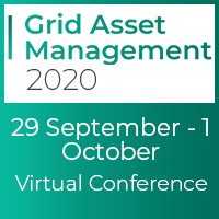Grid Asset Management 2020